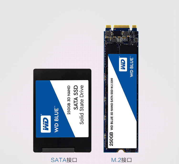 西部数据ssd固态硬盘250g其他存储设备